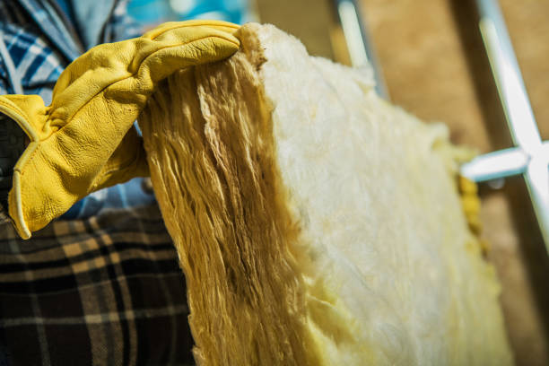 Best Geographic-Specific Insulation Services in Worth, IL