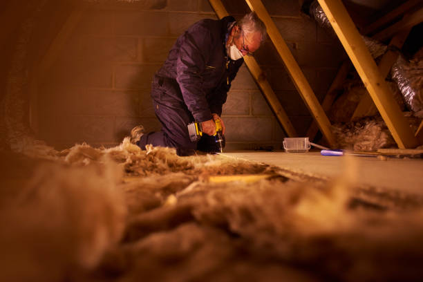 Trusted Worth, IL Insulation Contractor Experts